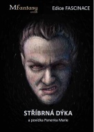 Stříbrná dýka - cena, porovnanie