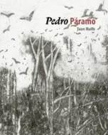 Pedro Páramo - cena, porovnanie