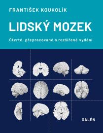 Lidský mozek 4.v. GALÉN