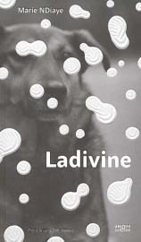 Ladivine - Marie NDiaye