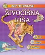 Foni book SK: Živočíšna ríša - cena, porovnanie