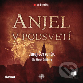 Anjel v podsvetí (Barbarič a Stein 7) - audiokniha