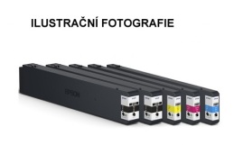 Epson C13T02S100