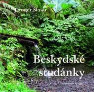 Beskydské studánky - cena, porovnanie