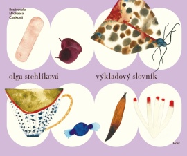 Výkladový slovník - Olga Stehlíková