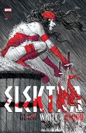 Elektra: Black, White & Blood Treasury Edition - cena, porovnanie