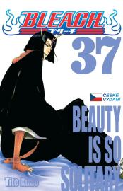 Bleach 37 (české vydání)