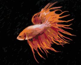 Zuty Červená ryba, 80x100cm bez rámu a bez napnutia plátna