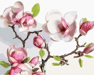 Zuty Jarná kvitnúca magnólia, 80x100cm bez rámu a bez napnutia plátna - cena, porovnanie