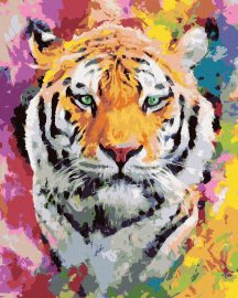 Zuty Maľovanie podľa čísel Tiger vo farbách, 80x100cm bez rámu a bez napnutia plátna