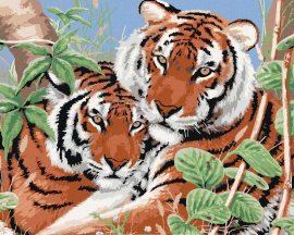 Zuty Maľovanie podľa čísel Tigre dvojčatá (Howard Robinson), 80x100cm bez rámu a bez napnutia plátna