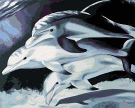 Zuty Maľovanie podľa čísel Tri delfíny, 80x100cm napnuté plátno na rám