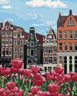 Zuty Maľovanie podľa čísel Tulipány v Amsterdame II, 80x100cm napnuté plátno na rám - cena, porovnanie