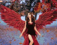 Zuty Maľovanie podľa čísel Žena s anjelskými červenými krídlami, 80x100cm bez rámu a bez napnutia plátna - cena, porovnanie