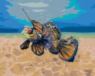 Zuty Mandarínková rybka, 80x100cm bez rámu a bez napnutia plátna - cena, porovnanie