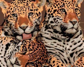Zuty Matka jaguára a dve mláďatá, 80x100cm plátno napnuté na rám