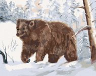 Zuty Medveď v zasneženom lese, 80x100cm plátno napnuté na rám - cena, porovnanie