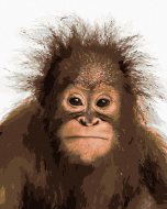 Zuty Mladý orangutan, 80x100cm bez rámu a bez napnutia plátna - cena, porovnanie