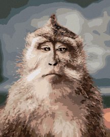 Zuty Opica s vážnou tvárou, 80x100cm plátno napnuté na rám