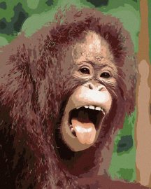Zuty Orangutan s otvorenou papuľou, 80x100cm plátno napnuté na rám