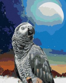 Zuty Papagáj a mesiac, 80x100cm plátno napnuté na rám