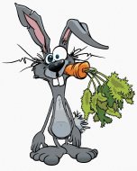 Zuty Rozprávkový králik s mrkvou, 80x100cm bez rámu a bez napnutia plátna - cena, porovnanie