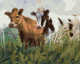 Zuty Dve kravy v ohrade, 40x50cm bez rámu a bez napnutia plátna