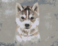 Zuty Husky na sivom pozadí, 40x50cm bez rámu a bez napnutia plátna - cena, porovnanie