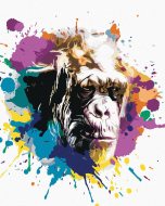 Zuty Opičí hlava na farebnom pozadí, 40x50cm plátno napnuté na rám - cena, porovnanie