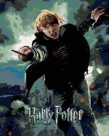 Zuty Plagát Harry Potter a relikvia smrti Ron, 40x50cm plátno napnuté na rám