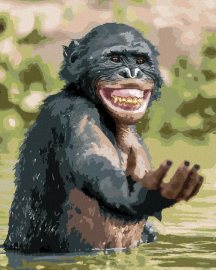 Zuty Šťastný šimpanz, 40x50cm plátno napnuté na rám