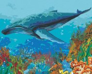Zuty Veľryba a koralový útes, 80x100cm plátno napnuté na rám - cena, porovnanie