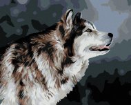 Zuty Vyzerajúci husky, 80x100cm bez rámu a bez napnutia plátna - cena, porovnanie