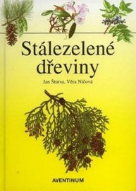 Stálezelené dřeviny