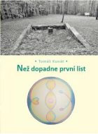 Než dopadne první list - cena, porovnanie