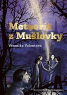 Meteorit z Mušlovky - cena, porovnanie