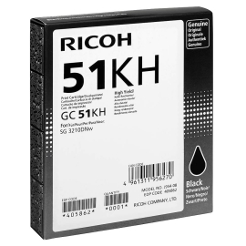 Ricoh 405862