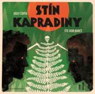 Stín kapradiny - CDmp3 - cena, porovnanie