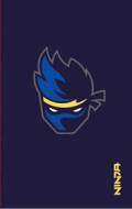 Ninja Notebook: Notebook with Stickers and Tips to Improve Your E-Game - cena, porovnanie