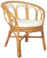 vidaXL Jedálenská stolička s poduškou hnedá prírodný ratan a ľanové plátno, 325477 - cena, porovnanie