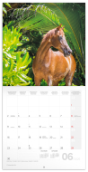 Koně 2025 - nástěnný kalendář - cena, porovnanie