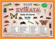 Zvířata hmyz - Sada 24 karet - cena, porovnanie