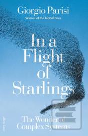 In a Flight of Starlings