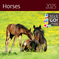 Horses 2025 - nástěnný kalendář - cena, porovnanie