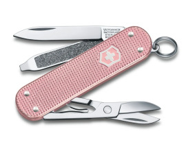 Victorinox Classic SD 0.6223.252G