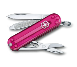 Victorinox Classic SD 0.6223.T5G