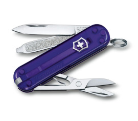 Victorinox Classic SD 0.6223.T29G