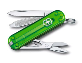 Victorinox Classic SD 0.6223.T41G