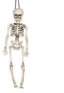 Guirca Skeleton kostlivec na zavesenie 40 cm - cena, porovnanie