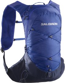 Salomon XT 10